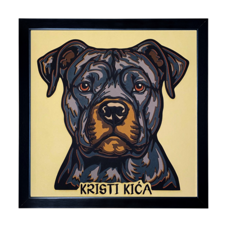 Pit bull
